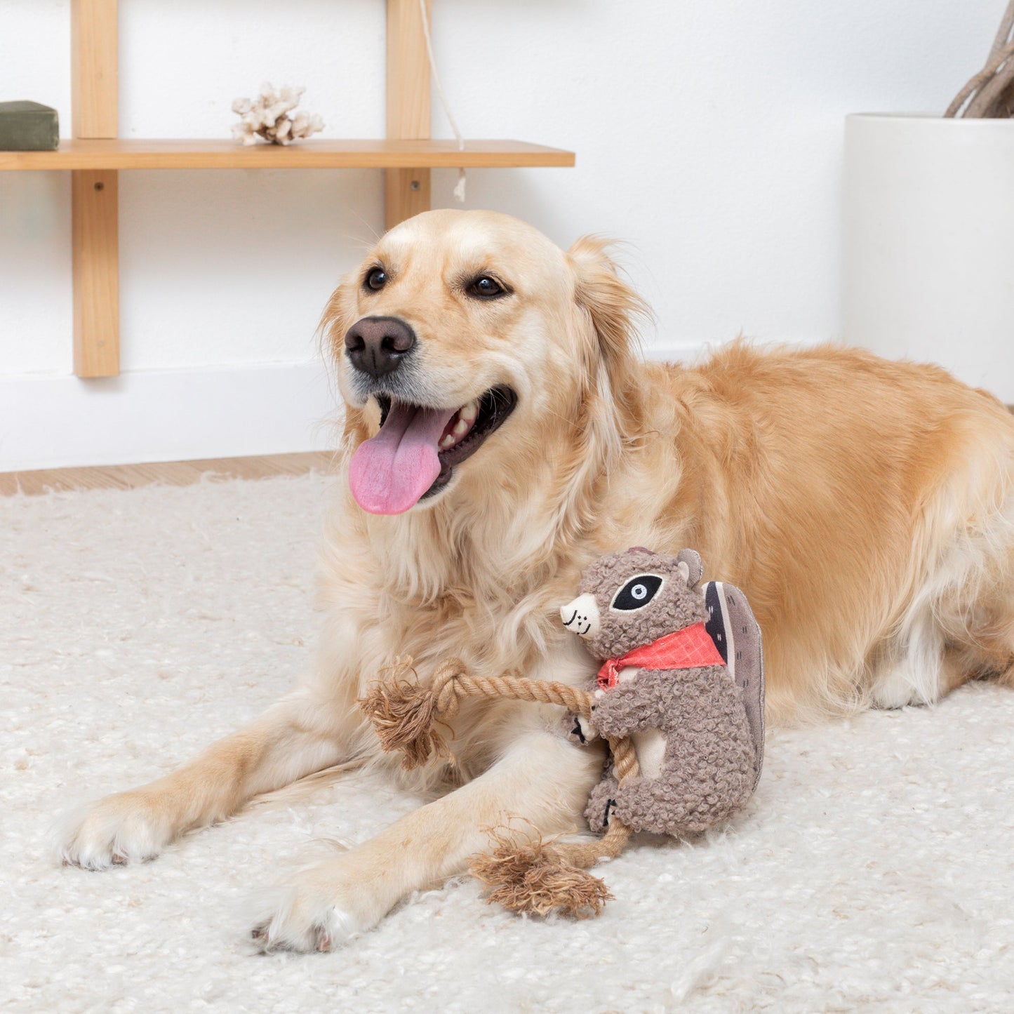PETSHOP MS CHIP DOG TOY